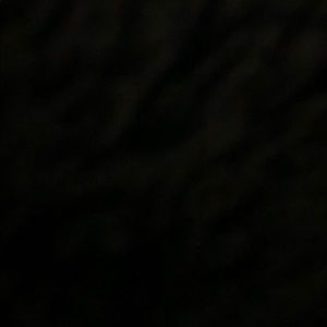 Meet your Posher, Kylee